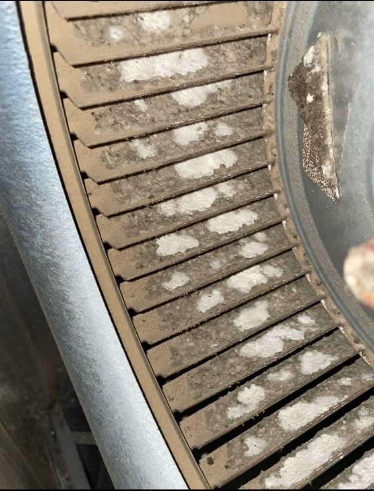 Dust caked on the blades of an indoor blower wheel before cleaning in Roland