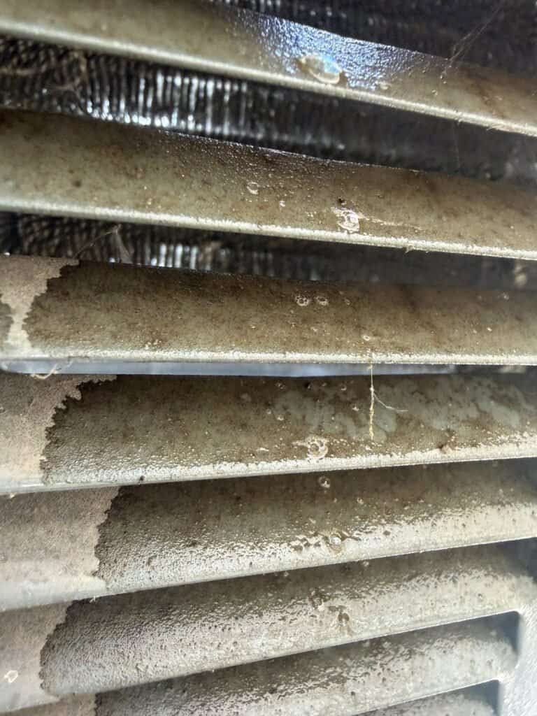 Dust and dirt on an AC condenser coil seen through the louvers before cleaning in Rudy
