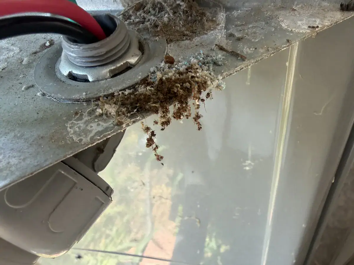 Detail photo from a Alma, Arkansas HVAC service visit